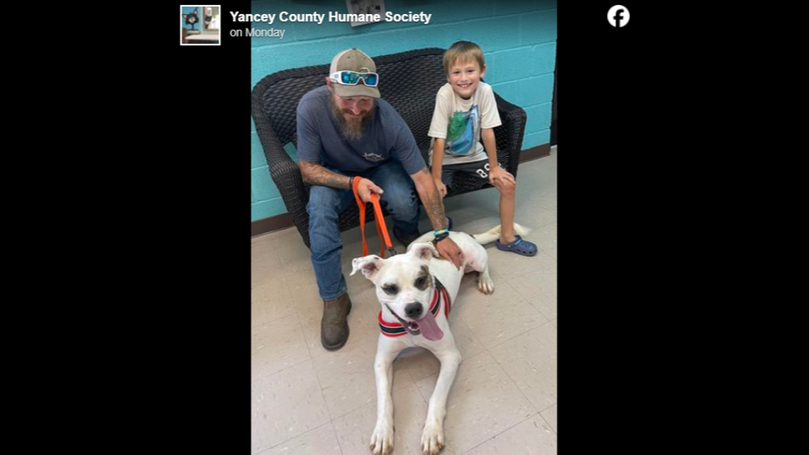 Chance spent more than 200 days in a North Carolina shelter before his heartwarming adoption.