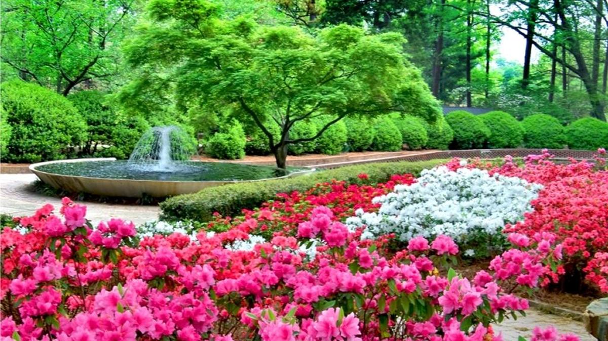 Glencairn Garden in the City of Rock Hill. The government business was named to the Observer’s 2015 Top Workplaces list.
