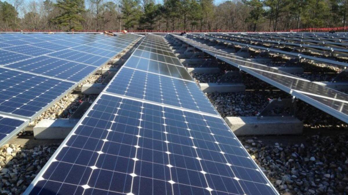 Solar farms are proliferating in rural areas across the Triangle. The array above is in Fuquay-Varina.
