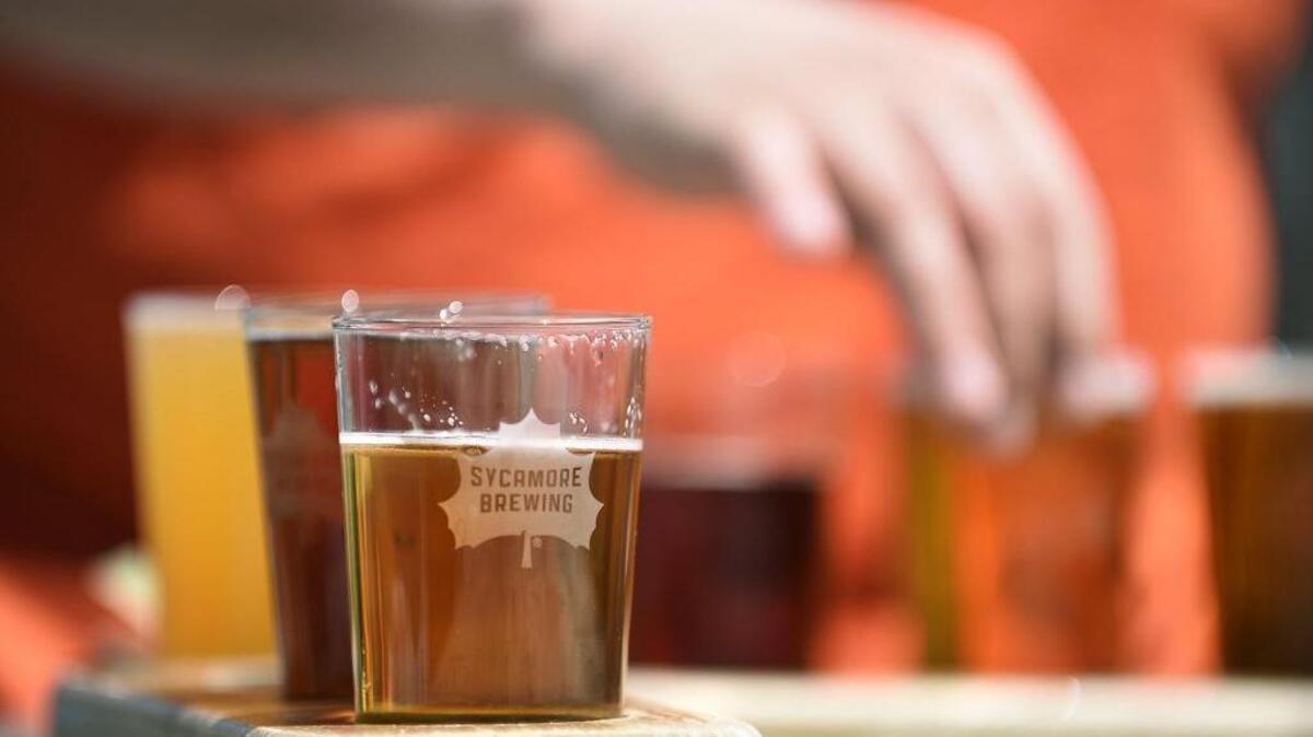 ORIGINAL: Patrons tried a flight of beer at Sycamore Brewing in an April file photo.
