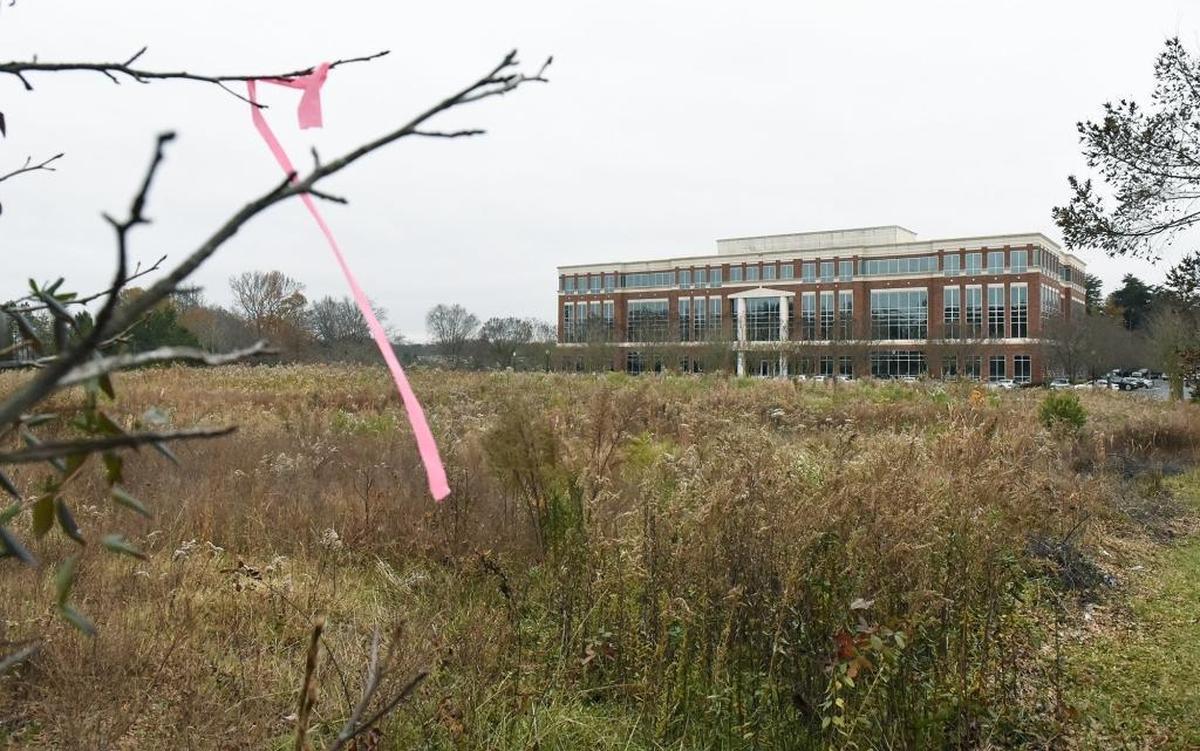 This undeveloped field at 11030 David Taylor Drive off West Mallard Creek Church Road but is one of several locations where developers are planning big new, suburban apartment complexes.