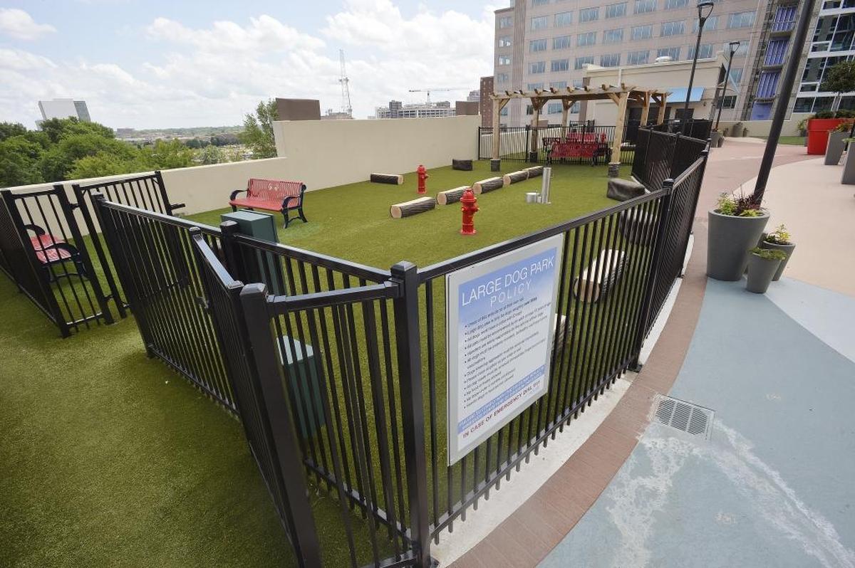 SkyHouse Apartments amenity deck has a dog park.