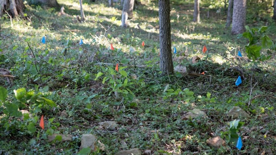 Orange and blue flags mark the location of unmarked slave graves just outside the cemetery behind Mallard Creek Presbyterian Church on June 27, 2017.