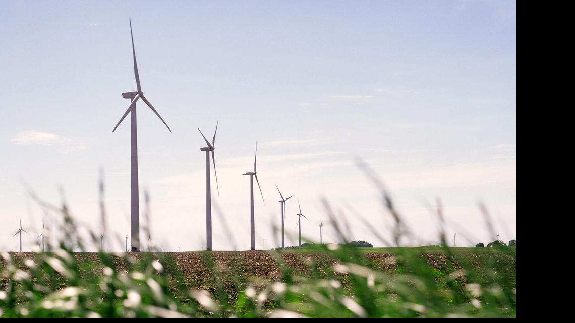 
A photo provided by Iberdrola Renewables shows one of the company’s other wind farms, which features flat topography and row crops – much like the project planned for North Carolina.
