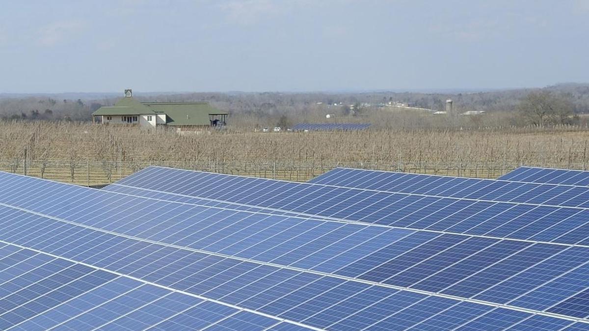 RayLen Vineyards in Mocksville has installed solar panels on land that is not suitable for growing grapes.
