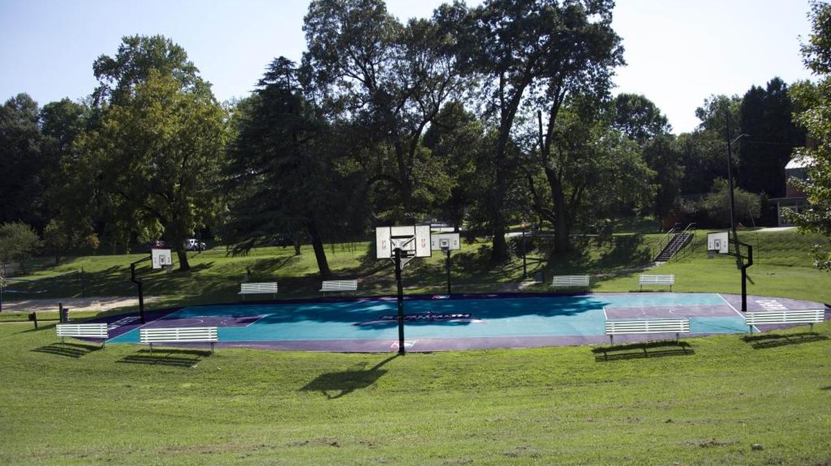 Mockup of the Latta Park project