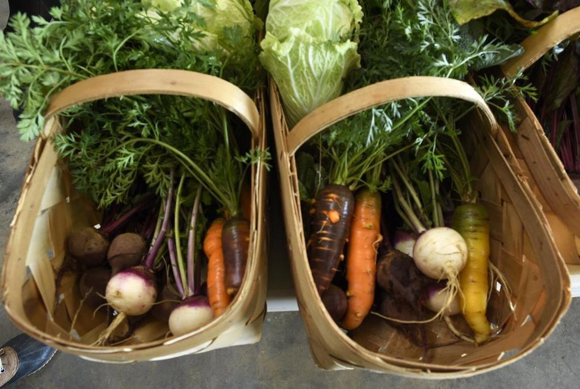 Customers get baskets of whatever is available at Wild Hope Farm like these beets, radishes and carrots.