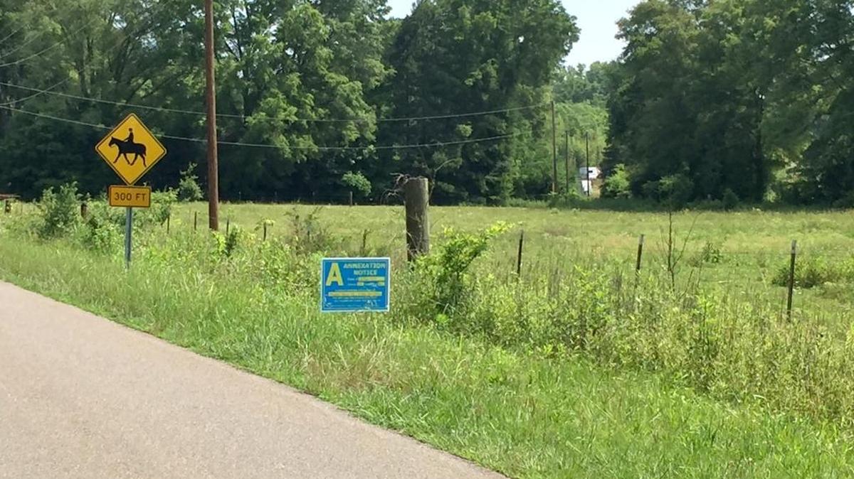 An annexation hearing marker on part of the 700 acres of property owned by John Spratt where a proposed, mixed-use, 2,900-home subdivision would be built, shows a June 13 hearing date.