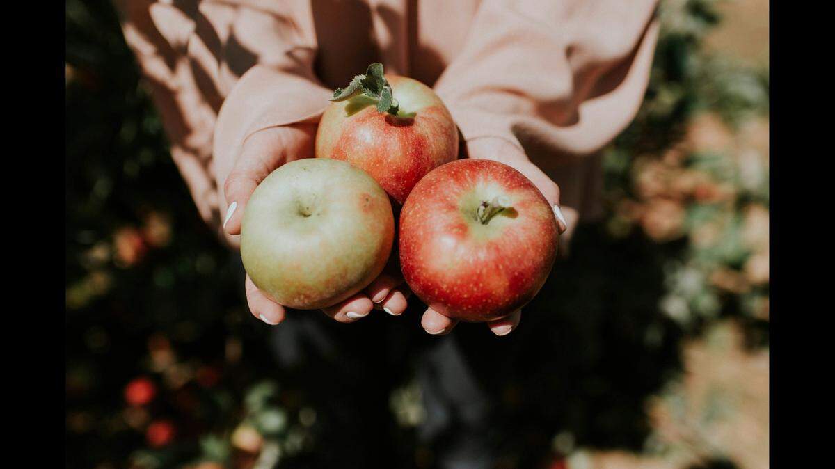 Two North Carolina apple orchards rank among the nation’s best.