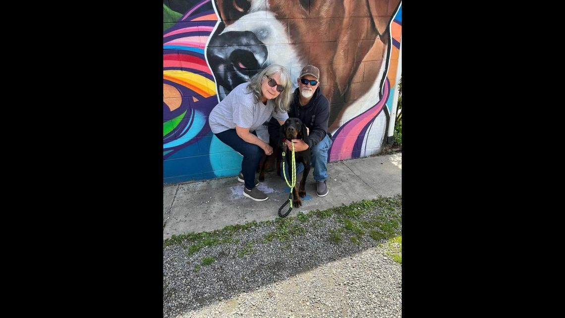 A North Carolina dog needed a home — then a social media post turned his luck around.