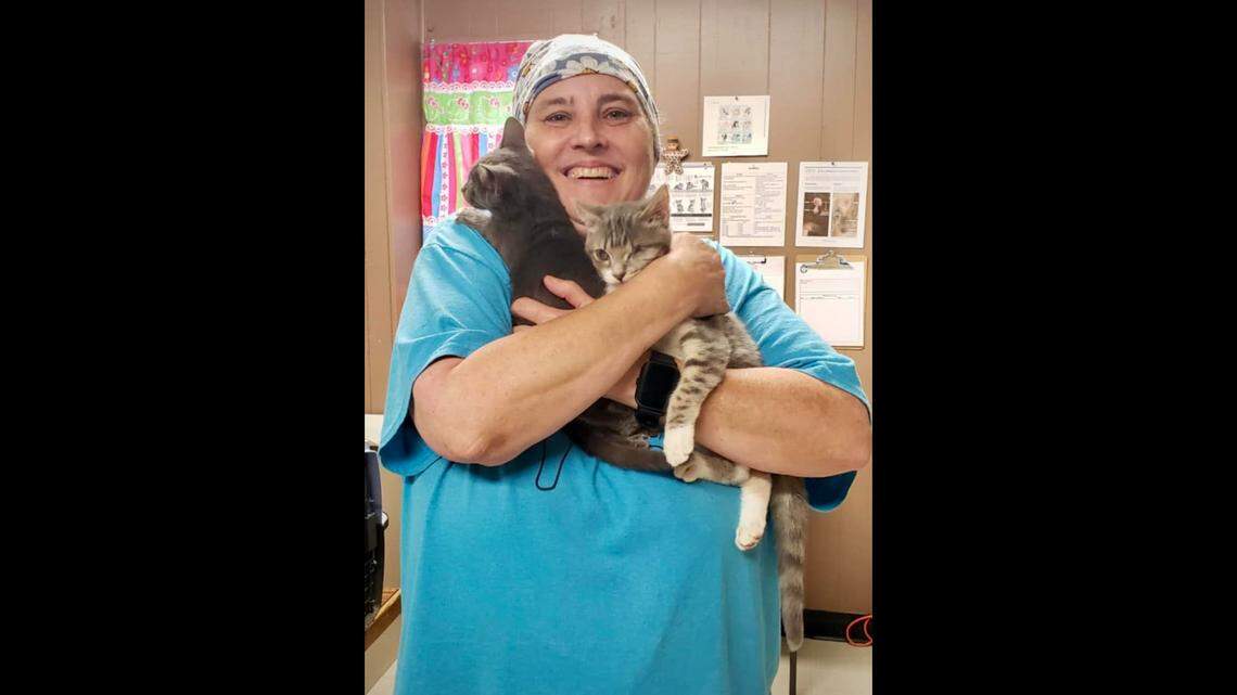 The Tennessee kittens went home with the same owner.