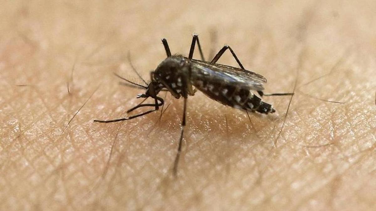 York County officials said there’s been another confirmed case of West Nile virus, which is spread through mosquito bites.