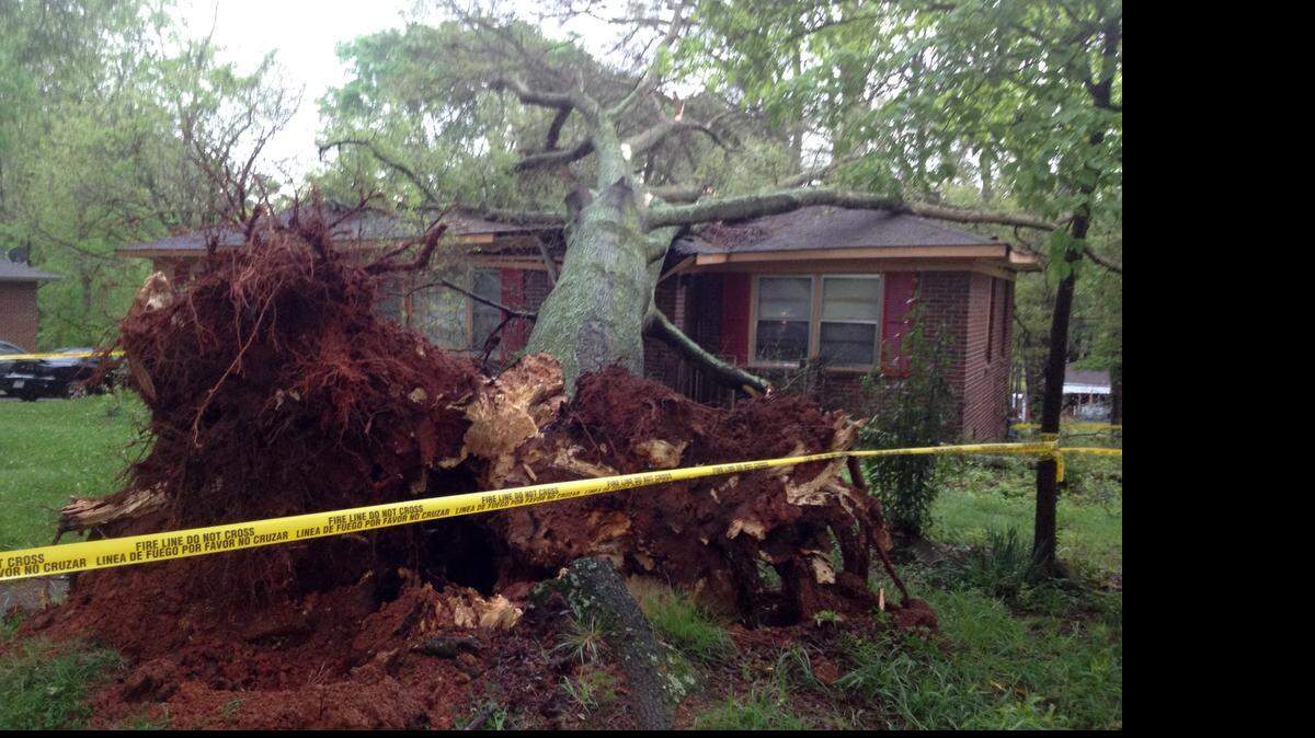 
A tree fell on a south Charlotte home early Monday.
