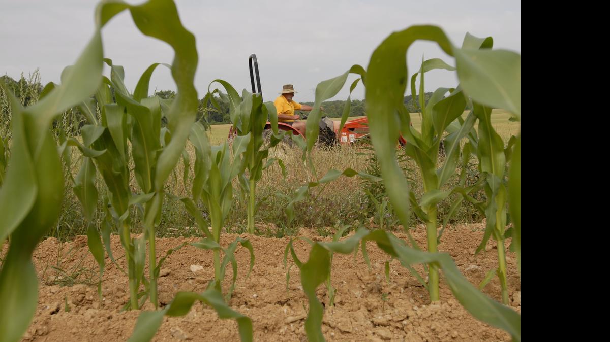 
"Every year it gets drier and drier" Monroe farmer said in the midst of a 2007 drought. 
