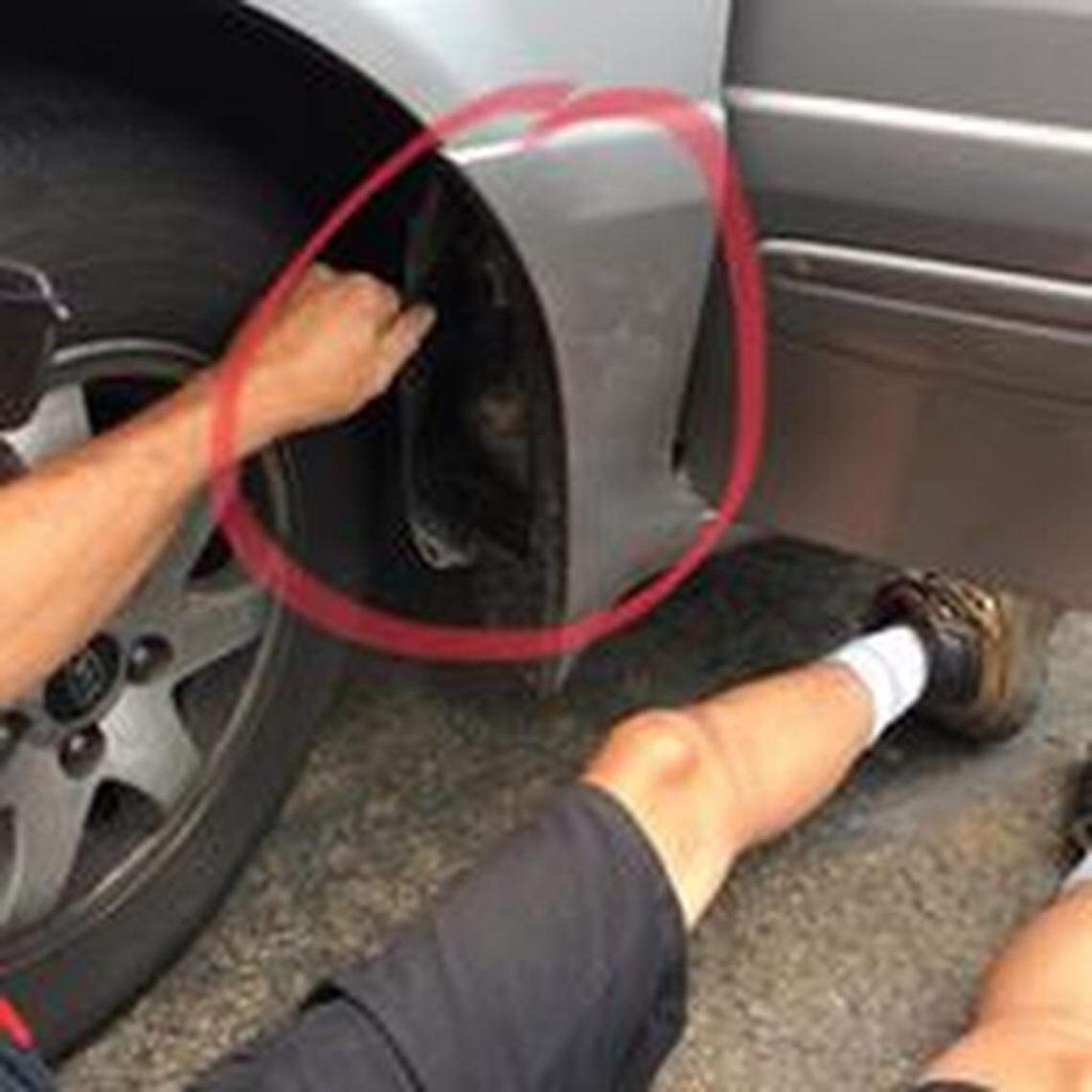 The red circle shows where the kitten was stuck as the minivan driver traveled 45 miles from Capron, Va., to Petersburg, Va., before the driver realized the kitten was there and then called for help.
