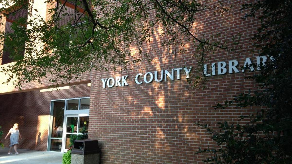 Colleen Pappas, director of the York County Library for nine years, has been placed on administrative leave pending an investigation into wide-ranging allegations about her management.