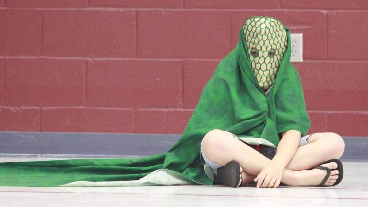 Fort Mill would have been the first district in the state to pick a rattle snake as the school mascot.