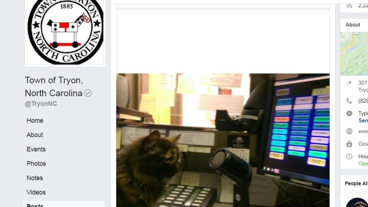 Officers at a police department in Tryon, N.C., found a lost cat. While they wait for her owner to come forward, they have made her their newest dispatcher.