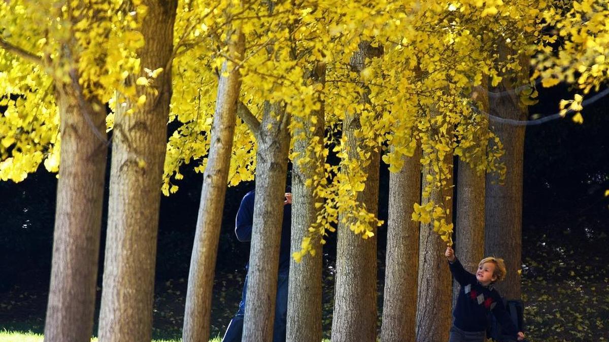 Winter weather, overdue after the short-sleeve temperatures in November, will finally arrive in Charlotte later this week.