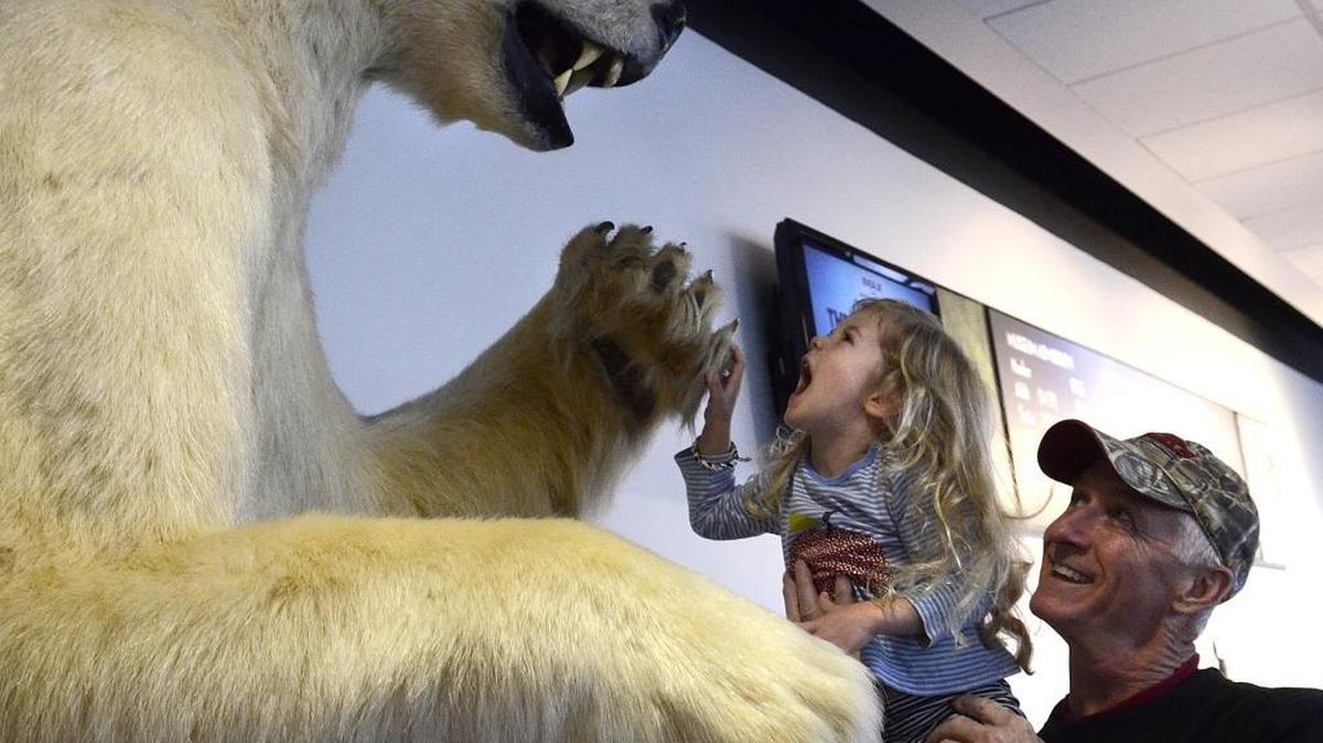 
John Nell holds up his granddaughter Estella Louise White, 3, so that she can go eye with a polar bear at Discovery Place.
