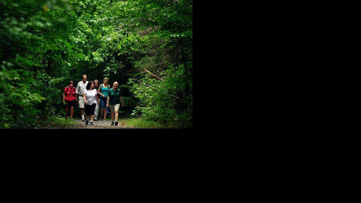 
Hiking along the Umbrella Tree Trail in Reedy Creek Park. 
