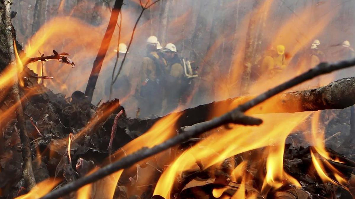 A California fire crew works to hold the northern head of a wildfire along the Appalachian Trail at Deep Gap, north of Tate City and the North Carolina border on Tuesday. Firefighters have made progress in battling many of the large wildfires burning in the Southeast, but several blazes continue to creep into new areas â and investigators say more fires are being lit each day by suspected arsonists.