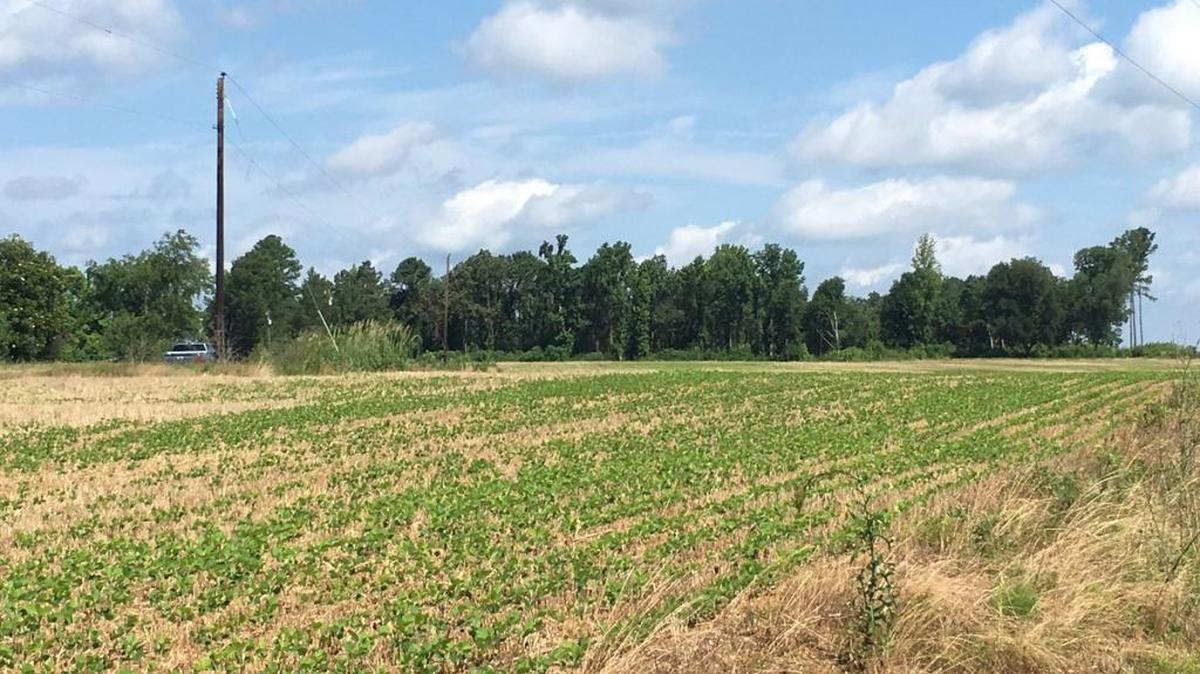 Site of investigation in Chesterfield County