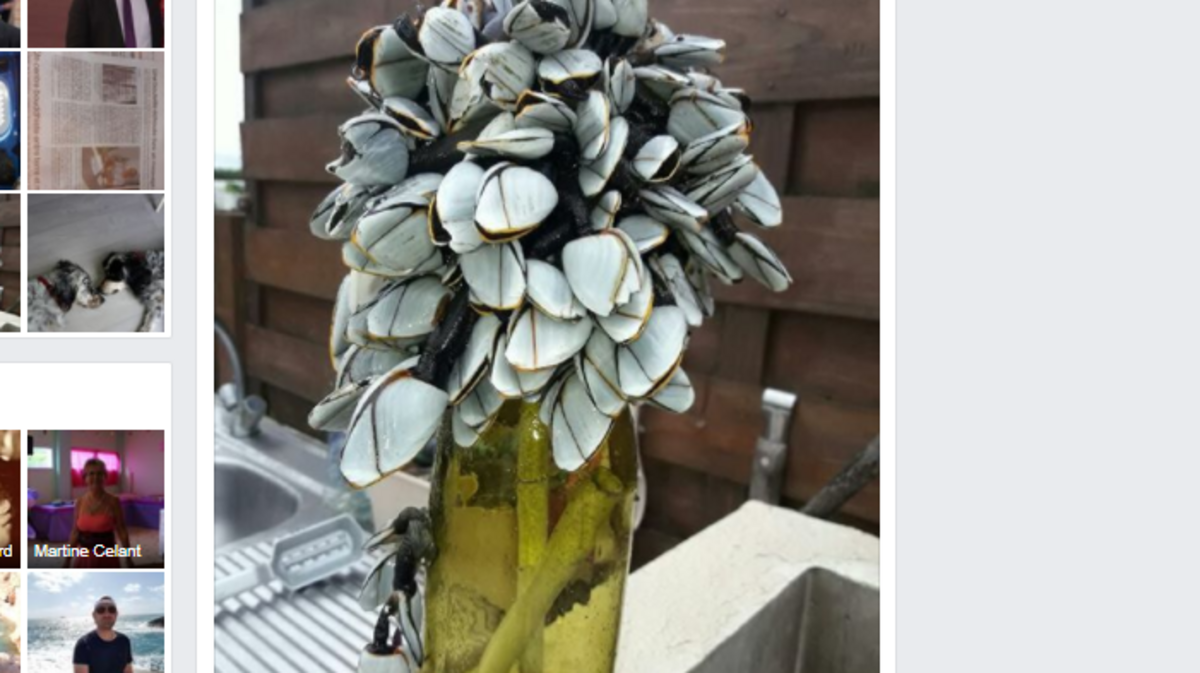 The bottle recovered in France last month.