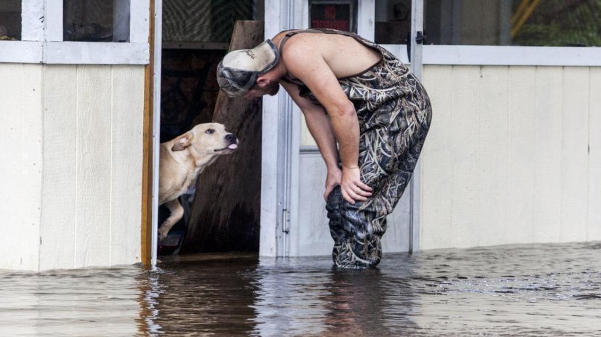 Alex Scroggins stops to help rescue a dog named left behind in a flooded home on Oct. 10.