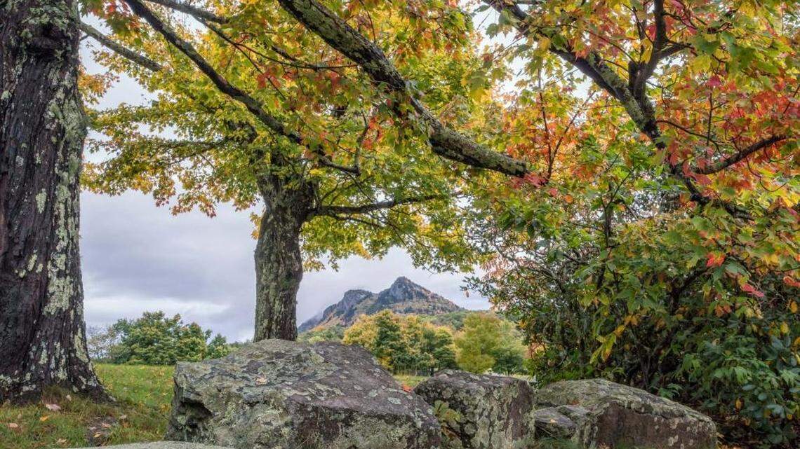 
Despite this week’s heavy rain, leaves are holding fast on Grandfather Mountain, as this photo from MacRae Meadows demonstrates. Experts posit that the recent bout of wet, warm weather could prolong the ‘leaf season.’ For more fall color photos, visit www.grandfather.com/plan-your-visit/events/fall-color-gallery/. Photo by Skip Sickler - Grandfather Mountain Stewardship Foundation
