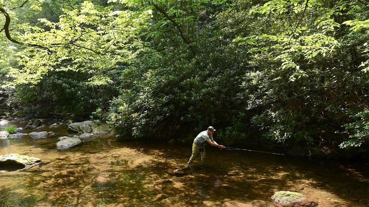 A fisherman drifts a trout fly through a small pool on the Jacob Fork River in South Mountains State Park.