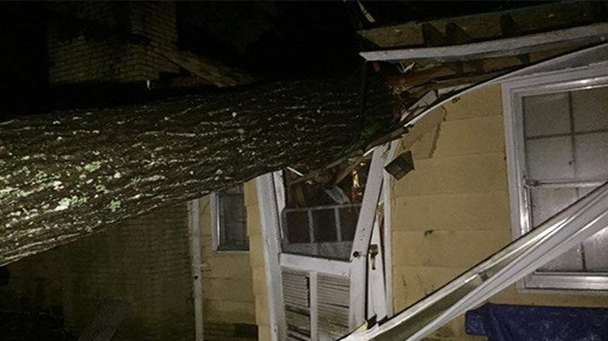 Friday night’s storm caused tree damage and power outages.