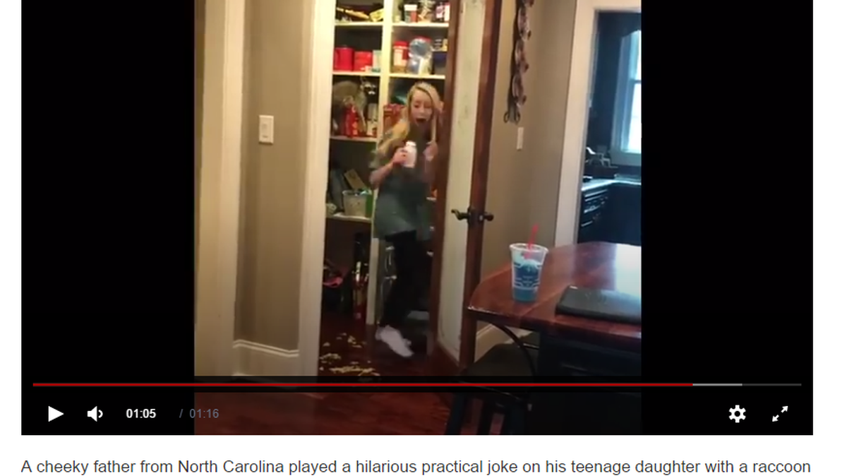 Kerri turns to run after seeing the raccoon in video posted by her father, Kevin Carswell, of Wake Forest.