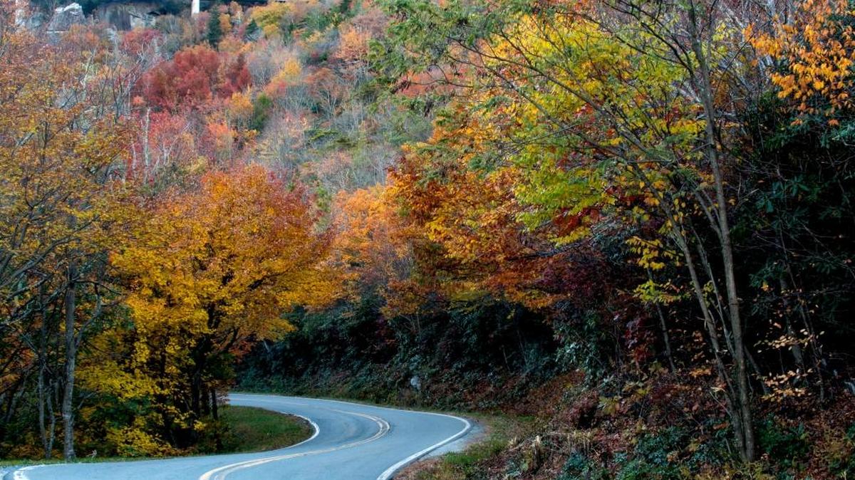 Autumn color brightens up the view along U.S. 221 near Grandfather Mountain