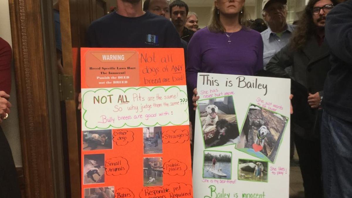 Opponents of changes to York dog laws against specific breeds such as pit bulls hold protest signs Tuesday at York City Council meeting.