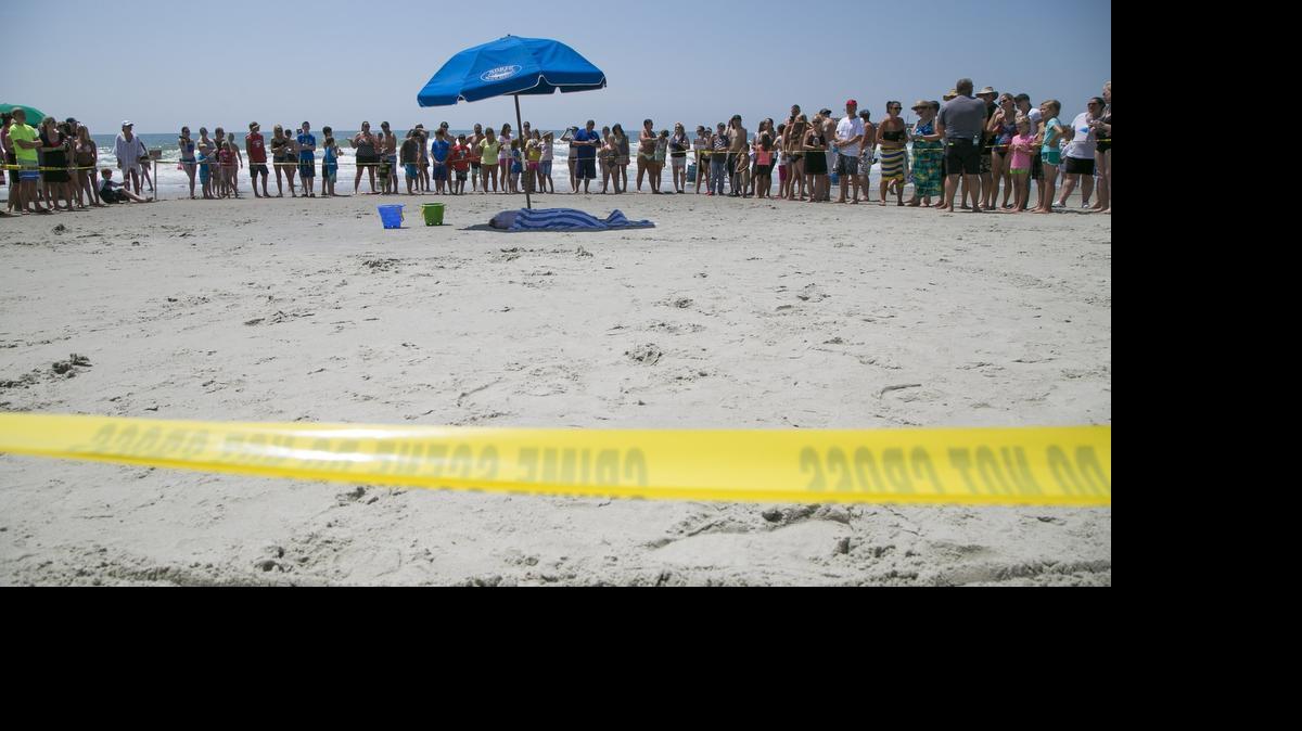 
A crowd gathers around a juvenal pygmy sperm whale on the beach near the Apache Pier. 
