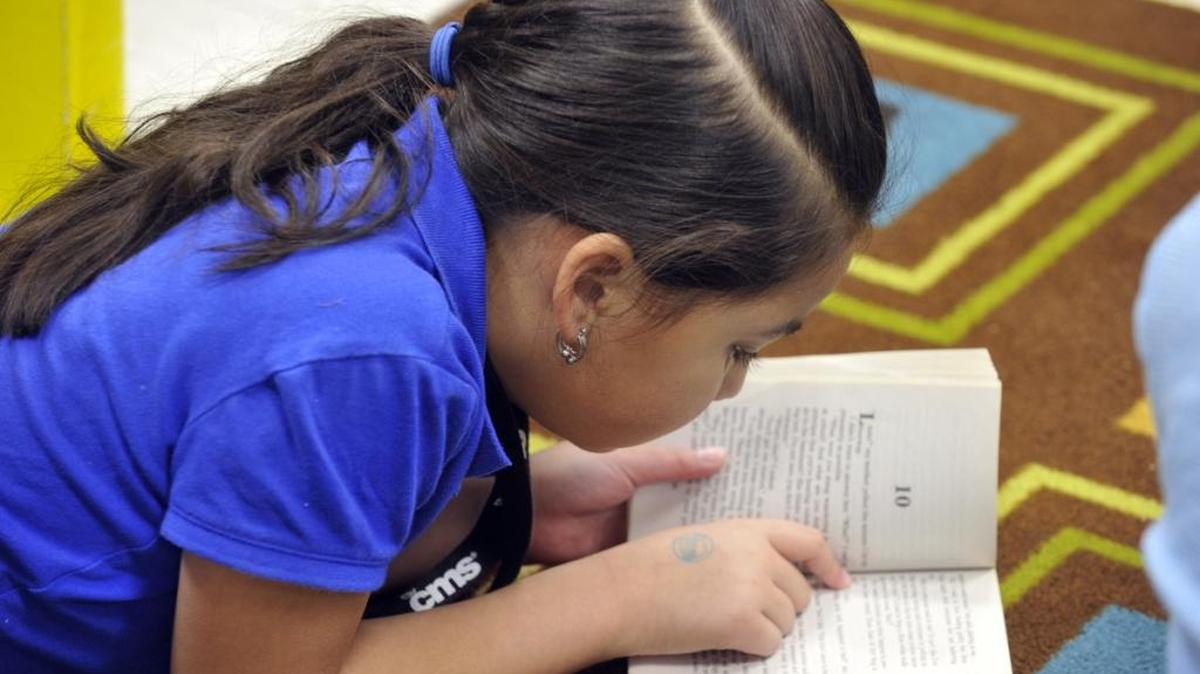 Charlotte-Mecklenburg Schools and Read Charlotte are pushing a communitywide literacy effort in 2015.