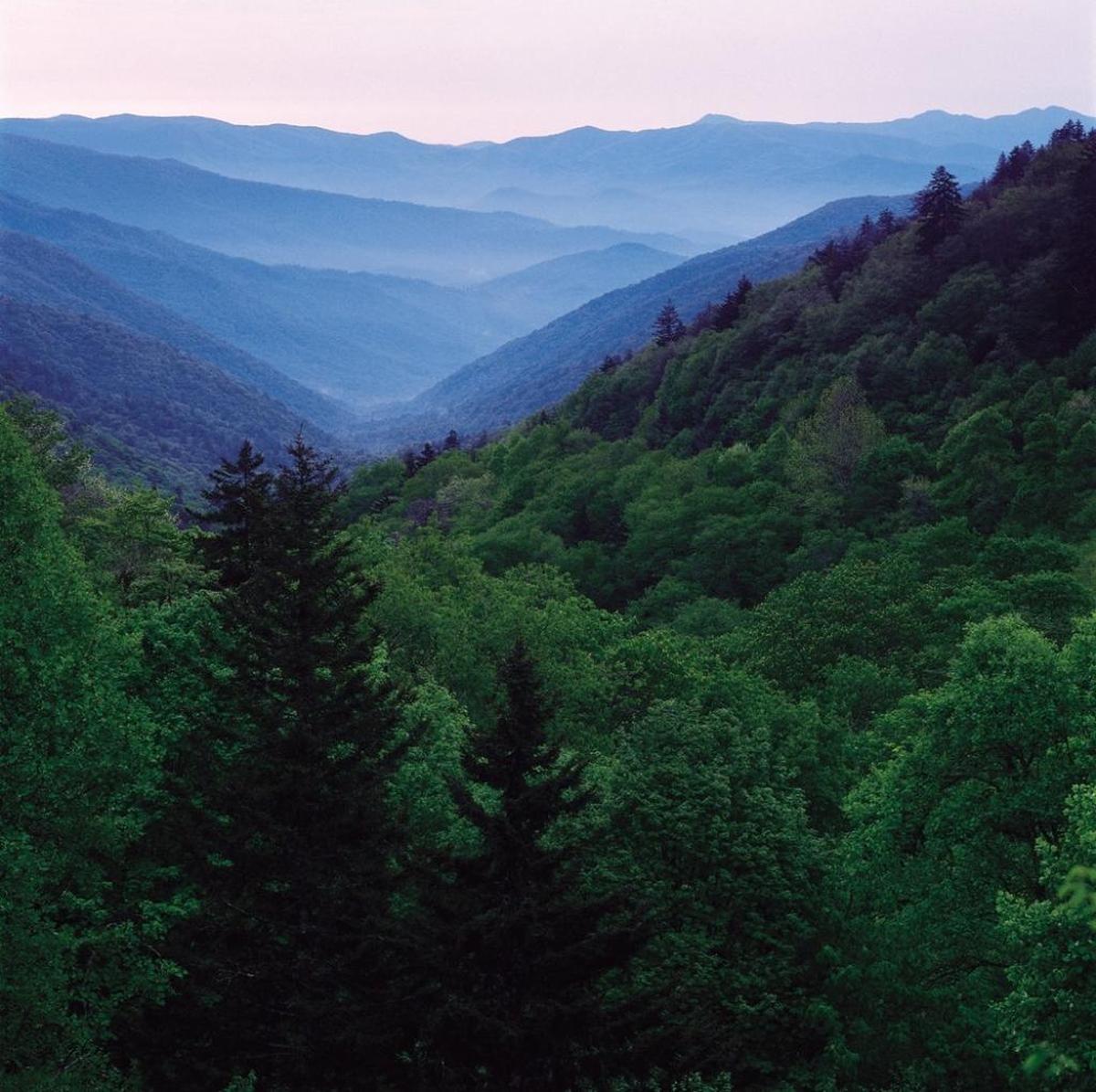 A Tennessee teenager walked out of the forest at Great Smoky Mountains National Park after being lost in the park’s remote southwestern corner for 11 days.