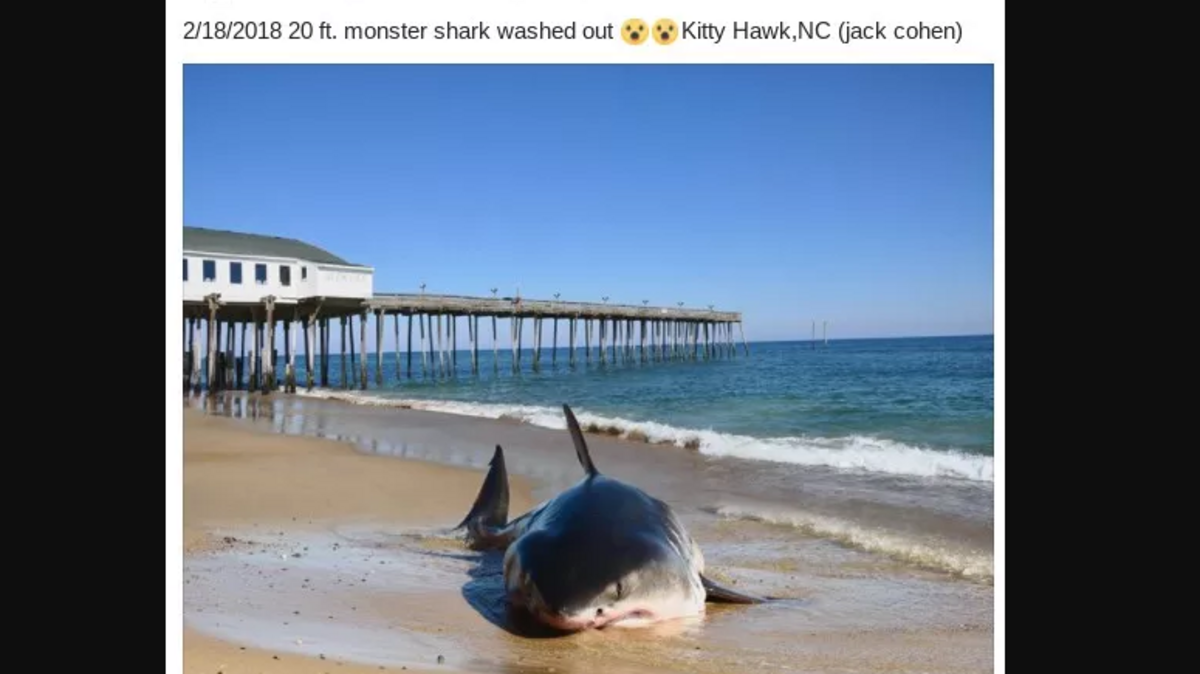 The photo that caused all the fuss in North Carolina
