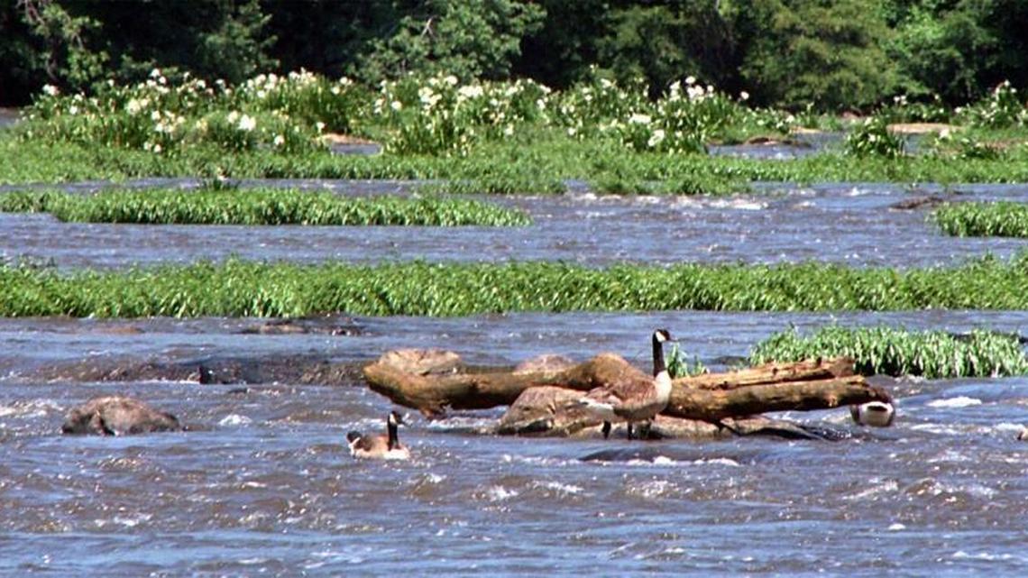 Landsford Canal State Park, a popular recreational area along the Catawba River in South Carolina, posted advisories against boating, wade fishing and swimming in the water after about 180,000 gallons of sewage spilled into Kings Branch in south Charlotte on Friday.