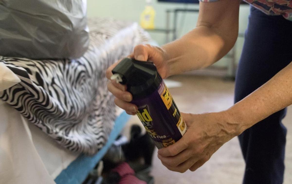 The Airport Parkway has been cited for more than 20 violations since the beginning of 2015, but authorities did not appear to escalate action against the hotel until County Commissioner Pat Cotham complained in July. Here, Cotham sprays bug spray on the bed of a tenant in an effort to combat the bed bug infestation.