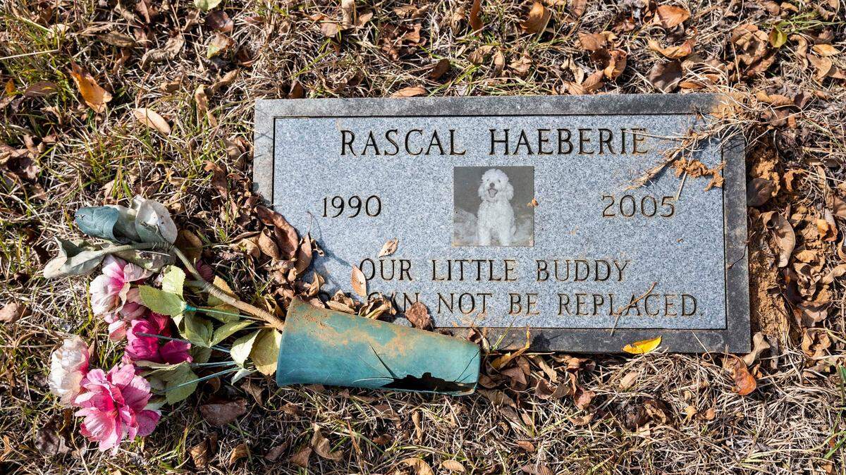 An old vase of flowers lays on its side at the headstone for a dog, Rascal Haeberie, in a pet cemetery off South Tryon Street.