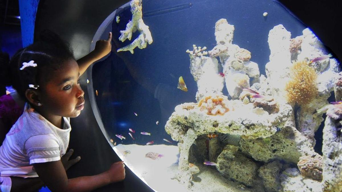 Tnazia Phifer of Kannapolis visits the aquarium at Discovery Place in 2011.