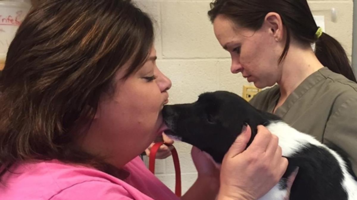 Cabarrus County Animal Shelter employees care for a male puppy that is available for adoption. Call 704-920-3294.