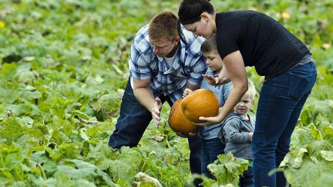 Celebrate fall at a local pumpkin patch. Here’s a list of Triangle options