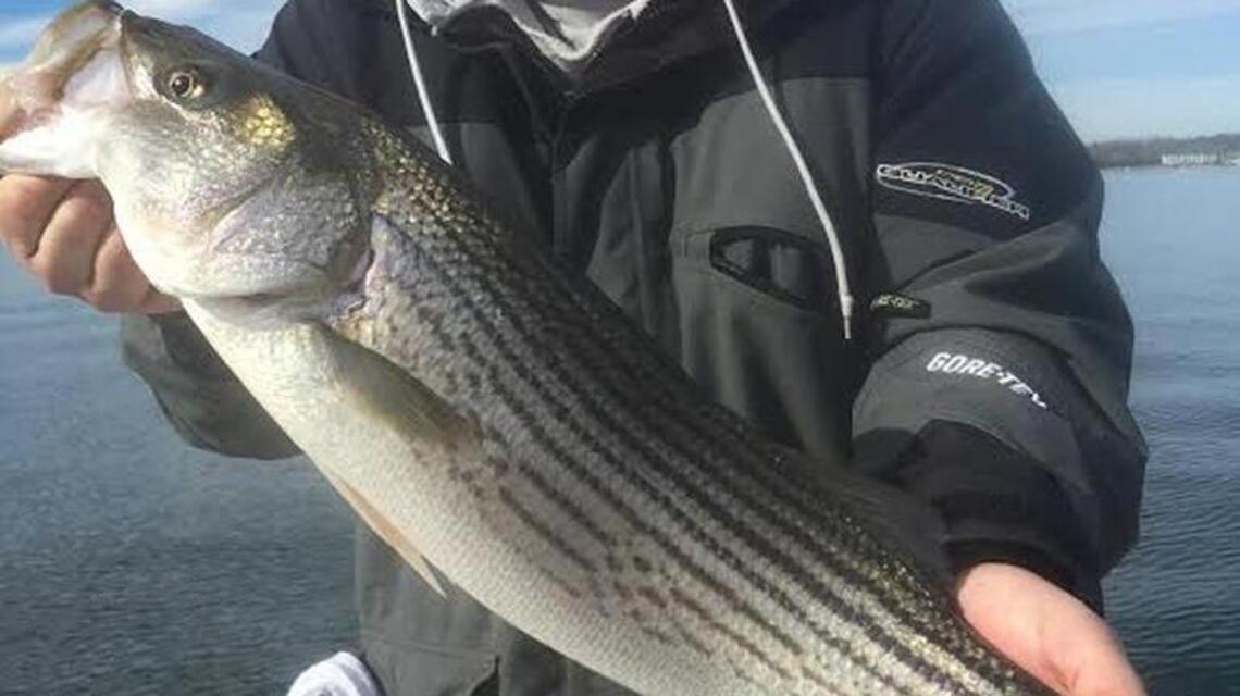 Fishing on Lake Norman: Some tips in case you ever get hooked