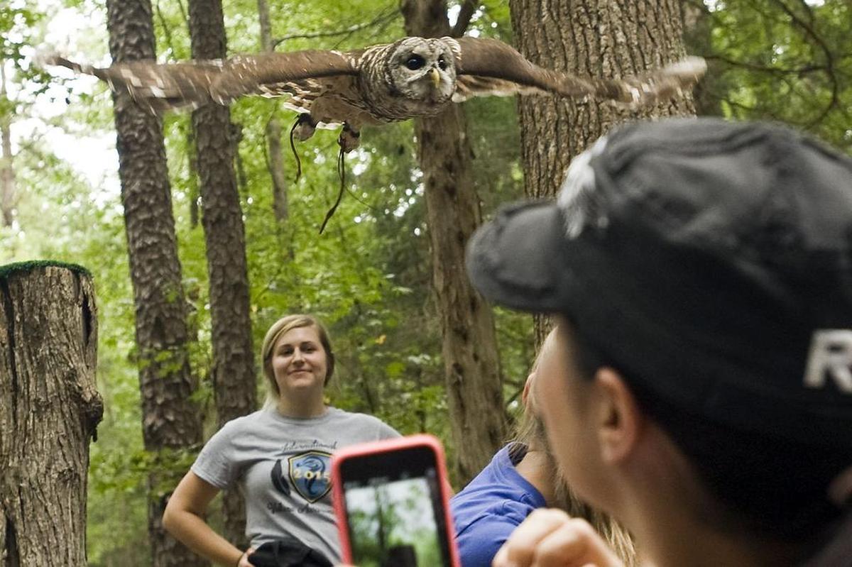 Register in advance for a Friday morning nature hike at Latta Nature Center and Preserve.