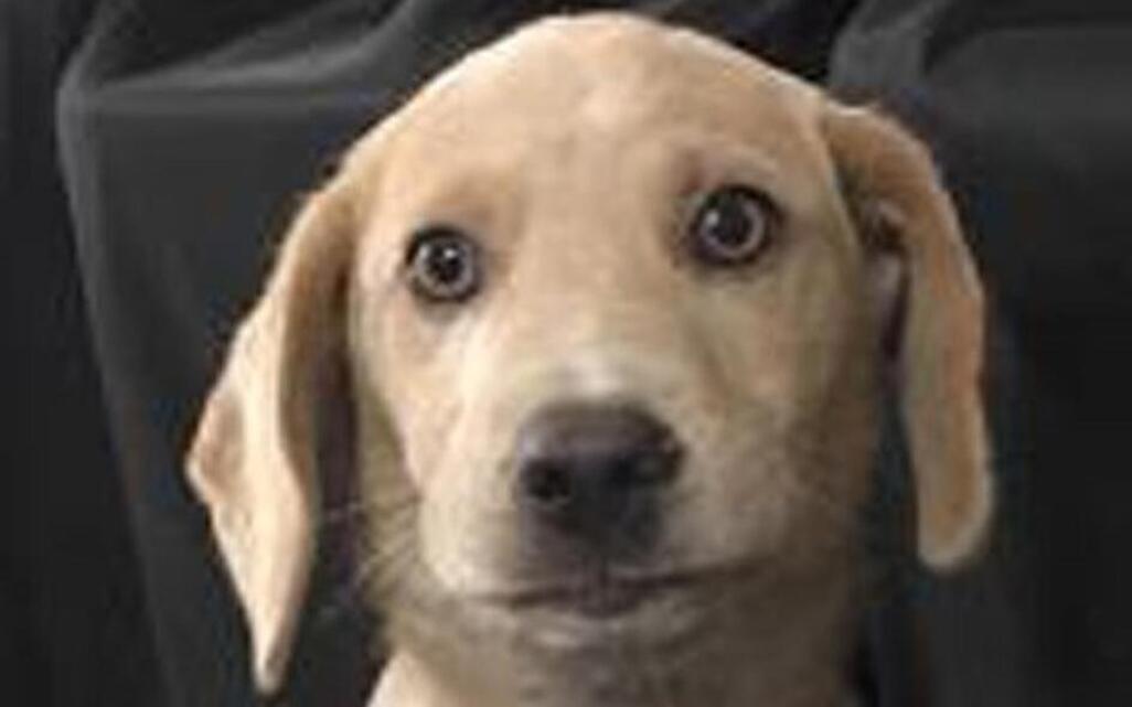 Come see me, please, and take me home
