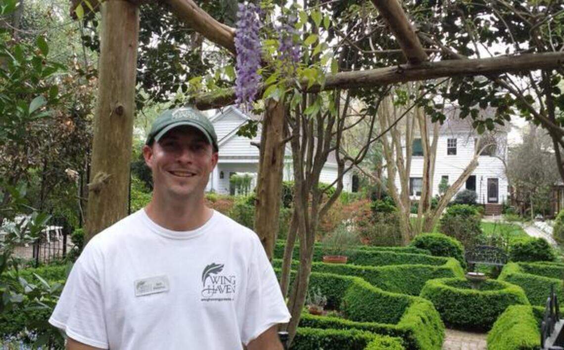 In Charlotte, take time to enjoy wisteria, but be careful