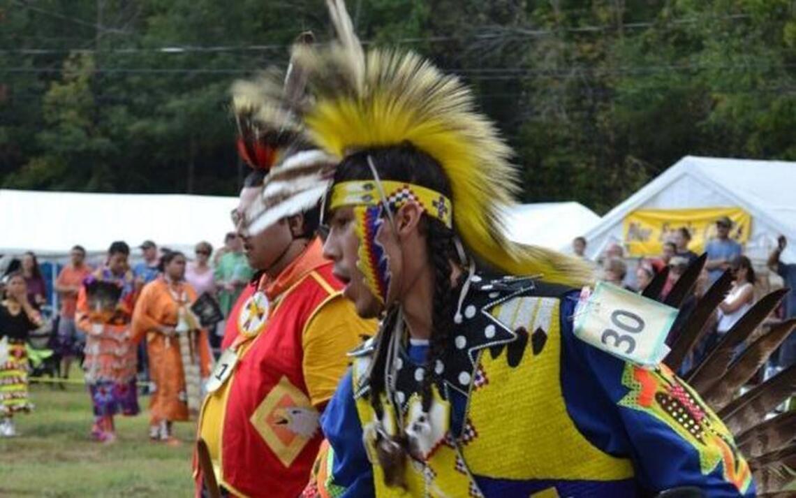 Chestnut Park will be host to 2 weekend festivals